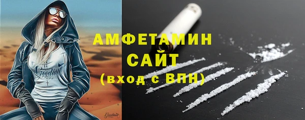 шишки Горняк