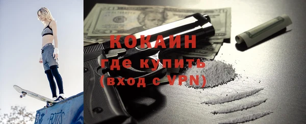 амф Гусев