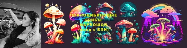 шишки Горняк