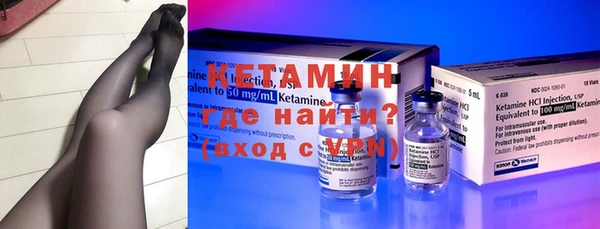 шишки Горняк