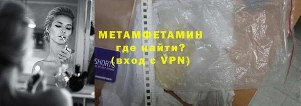 шишки Горняк