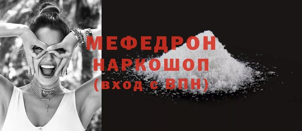 шишки Горняк