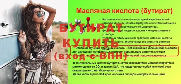 амф Гусев