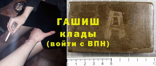 шишки Горняк