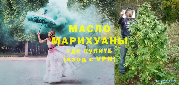 шишки Горняк